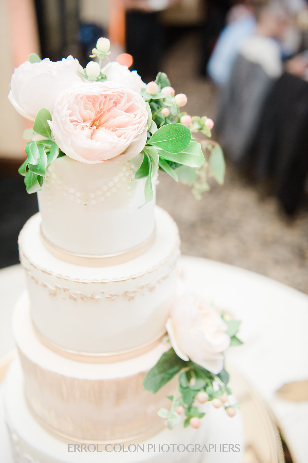rvwed-1109