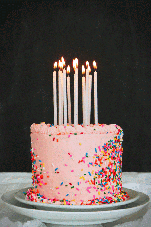 Tickled Pink Turned 7!